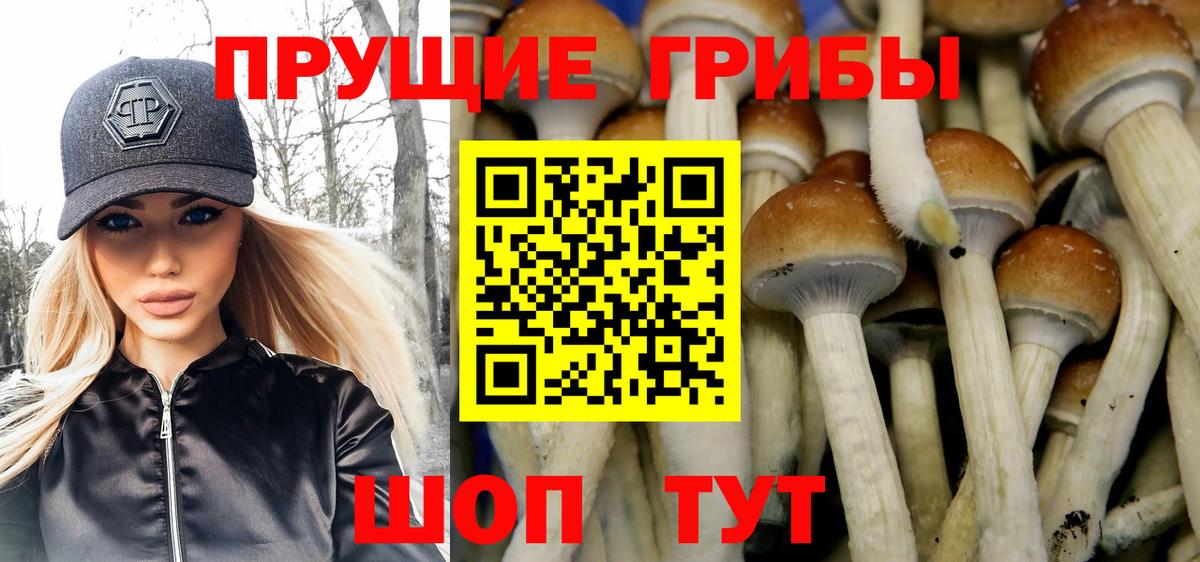 Подольск  Псилоцибиновые грибы мухоморы  Вход с VPN 