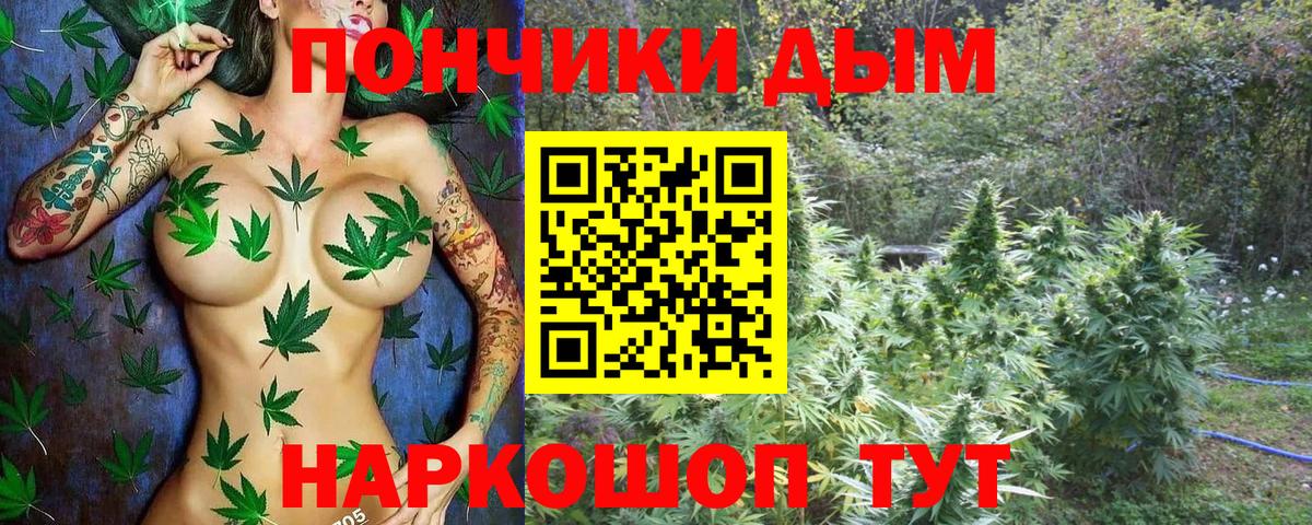 Бошки марихуана сатива Подольск